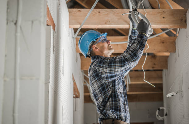 Best Residential Electrician Services  in Nneconne, WI