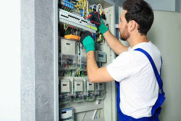 Best Electrician for Home Renovation  in Nneconne, WI