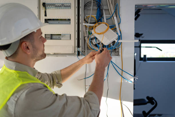 Best Electrician for Home Renovation  in Nneconne, WI